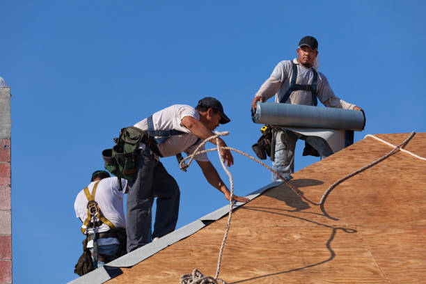 Best Gutter Installation and Roofing  in Cass City, MI