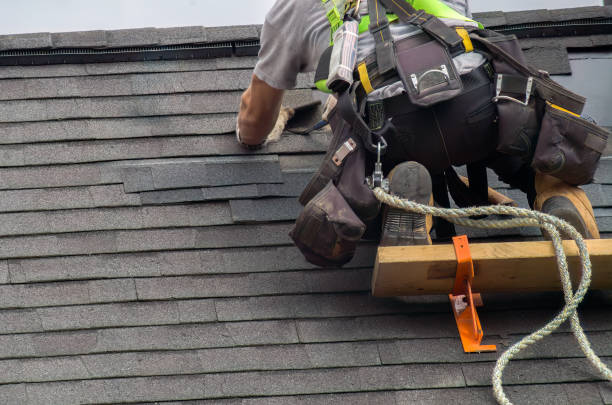 Best Residential Roofing Contractor  in Cass City, MI