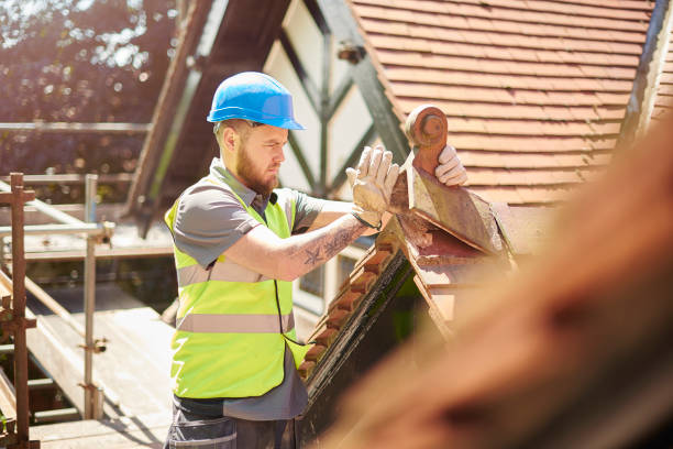 Best Emergency Roof Repair  in Cass City, MI